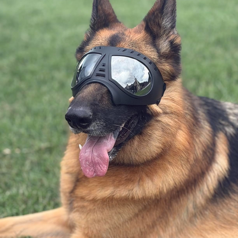 Pet Glasses for Medium Large-s - Sunglass Retainer Cord avaliação e preço