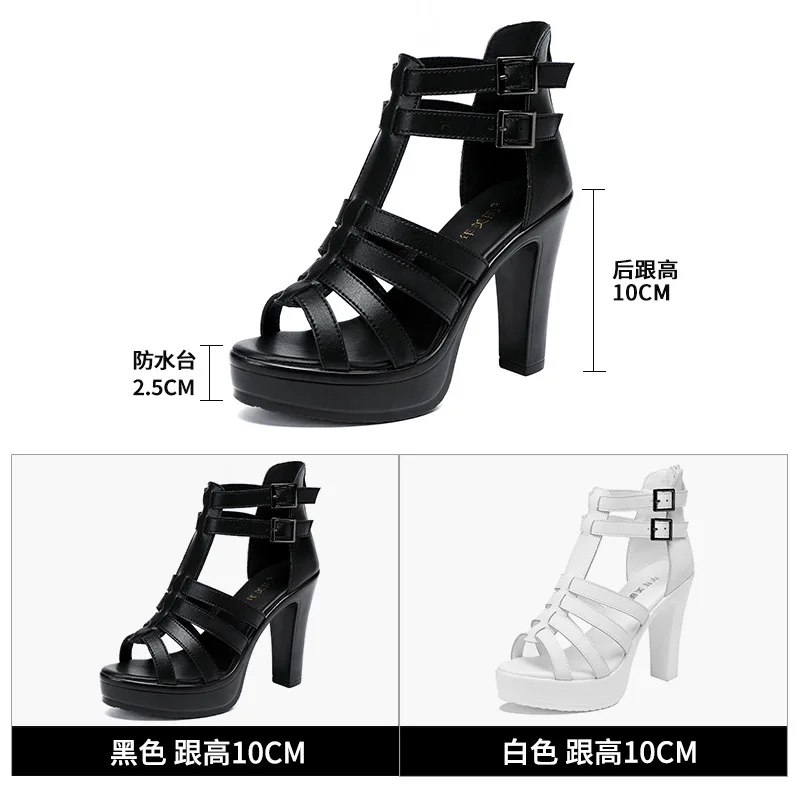 Gladiator Ladies Shoe for Wome - Casual Sandal Leather avaliação e preço